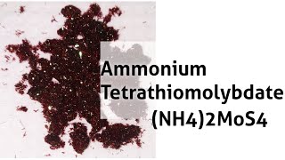 Ammonium Tetrathiomolybdate  Preparation [upl. by Kcinimod]