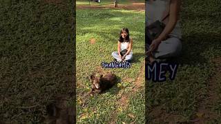 Singing Malayalam Song to a Dog in Cubbon Park Bangalore [upl. by Brittan845]