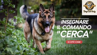 Come Insegnare al Cane il Comando quotCercaquot Guida Completa AddestramentoCani CaneCerca Cane [upl. by Ainahs812]