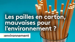 Les pailles en carton mauvaises pour lenvironnement [upl. by Enitsirc]