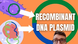 Recombinant DNA Technology Explained For Beginners [upl. by Ecyaj]