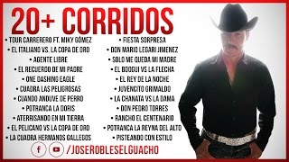 20 Corridos Más Perrones De Jose Robles El Guacho [upl. by Aivatahs299]