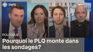 Panel politique  le débat sur la souveraineté profite au PLQ [upl. by Varuag]