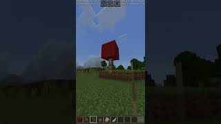 BALLON minecraft [upl. by Atnauqal]