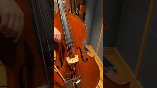 Contrabass Performance in the Studio 🎻 Contrabass MusicCreation BehindTheScenes [upl. by Ahsataj]