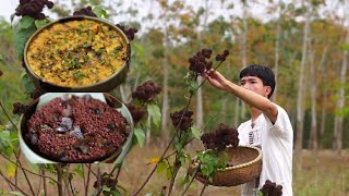 Harvesting annatto seeds the seeds that add color to dishes [upl. by Adnov]