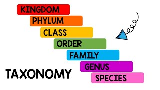 Taxonomy Song  Science Songs for Kids  Animal Classification [upl. by Atir518]