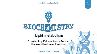 Lipid Metabolism Lipolysis [upl. by Delaine]