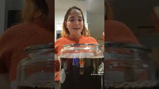 Making kombucha with a scoby for the first time [upl. by Nillok]