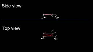 Proprioception and movement [upl. by Connett]