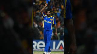 Muralitharan No Ball Controversy Explained in Hindi  Cricket Entertainment Shorts srilanka [upl. by Hindorff937]