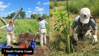 Pierce Conservation District – Puyallup WA – June 24 to August 2 2024 [upl. by Enenstein]