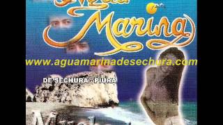 AGUA MARINA TU AUSENCIA Volumen 5 [upl. by Gauldin]