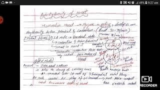 Electrical Activity of Heart Autorhythmicity and Rhythmicity [upl. by Daniela]