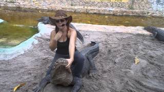 ❤ Alligator Wrestling Must watch by Young Girl at Everglades Alligator Show [upl. by Knobloch]