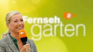 ZDF Fernsehgarten 08092024💯👍 live music party liebe [upl. by Avra]