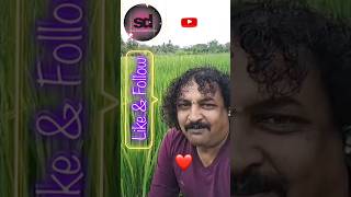 ondanondu oorali vijayprakash ytstudio kannadasong subodhdevaraj 🔥🌹💥 [upl. by Malkin648]