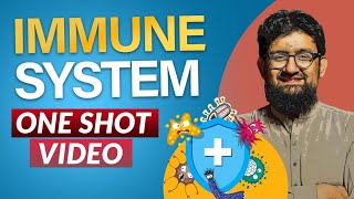 Human Immune System  One Shot Video [upl. by Griff748]