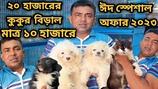 Lhasa ApsoDog price in 2023Persian cat price in 2023Katabon animal market in bangladesh gsd [upl. by Anastos695]