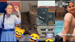 Bagad Billa funny video 😂\\😹 Bagad BILLA funny reels 😂\\ Ankit Ang Funny Cat Video \\comedy [upl. by Karlotte230]