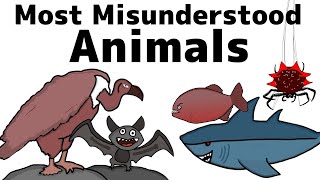 These Are The Most MISUNDERSTOOD Animals In The World [upl. by Emalia316]