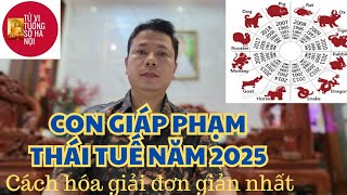 Các con giáp phạm Thái Tuế năm 2025 và cách hóa giải  Tử vi tướng số Hà Nội [upl. by Cele]