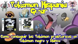 Como conseguir los Pokémon prehistoricos en Pokémon Blanco y Negro Pokémon Hispania [upl. by Anirroc]