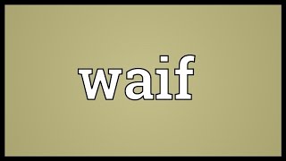 Waif Meaning [upl. by Fisken]