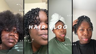 Hair Vlog Our Hair Routine  Mini Twists [upl. by Aisats]