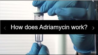 What is the mechanism of Adriamycin [upl. by Rorry]