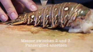 Spiny Lobster Langusten  15 Minuten Deluxe Dinner [upl. by Raknahs]