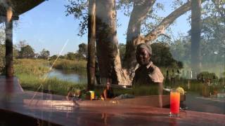 Botswana Safari Holidays [upl. by Zile]