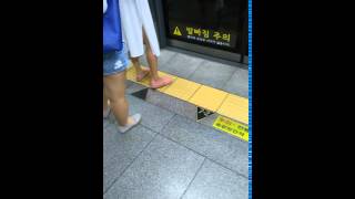 Seoul Subway Song서울 지하철의 노래 [upl. by Fulvia754]