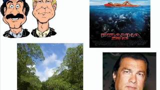 Steven Seagal Bob amp Tom Montage 2wmv [upl. by Ykceb]