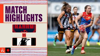 Narrm v Collingwood Highlights  Week 10 2024  AFLW [upl. by Eneroc]