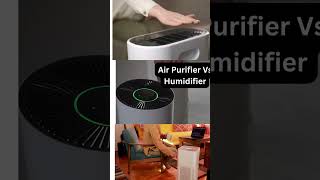 Air Purifier Vs Humidifier [upl. by Aelat]