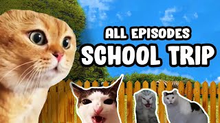 SCHOOL TRIP CAT MEME COMPILATION [upl. by Wivina]