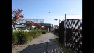 Otay Mesa Border Crossing Pedestrian [upl. by Iris]