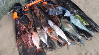 ANOTHER DAY IN TOBAGO LOOKING FOR FISH amp lobster ‼️🦈 [upl. by Idihc]