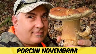 PORCINI NOVEMBRINI  FUNGHI PORCINI NOVEMBRE 2023 [upl. by Annayoj]