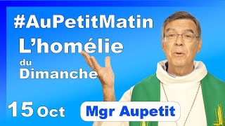 Homélie du Dimanche 15 Octobre  Avec Mgr Aupetit [upl. by Ajdan]