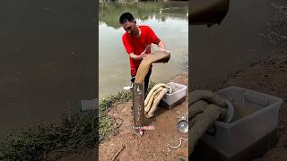 This DIY Water Filter SAVES Village From Contaminated Water shortsvideo [upl. by Ardnaik]