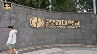 4K Pukyong National University 국립부경대학교 PKNU 부산 国立釜慶大学校 [upl. by Eymaj]