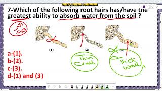 Model answer of lesson one Autotrophic nutrition  senior two part one [upl. by Babara]