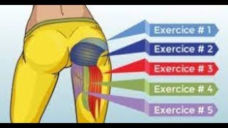 BEST EXERCICE JAMBE amp CUISSE amp FESSIER [upl. by Akinit]