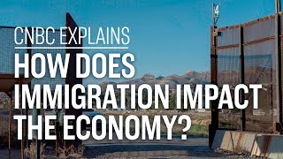 How does immigration impact the economy  CNBC Explains [upl. by Zetrauq959]