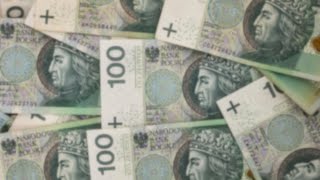 28 Billion PLN Lost Trade Unionists Warn of Financial Disaster in Polands Tax Office [upl. by Zeuqirdor]