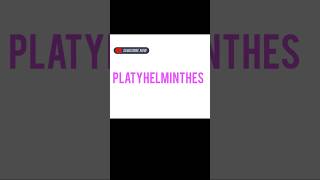 PLATYHELMINTHES [upl. by Aztiraj]