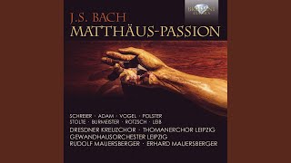 MatthäusPassion BWV 244 Pt 1 No 1 Chorus quotKommt ihr Töchter helft mir klagenquot [upl. by Aisatana]