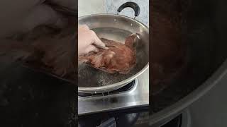 How to Coke Chicken [upl. by Schroeder]